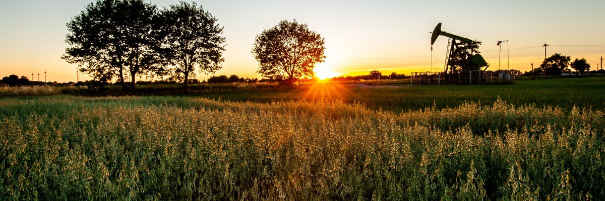 Osterwald oil field at sunset