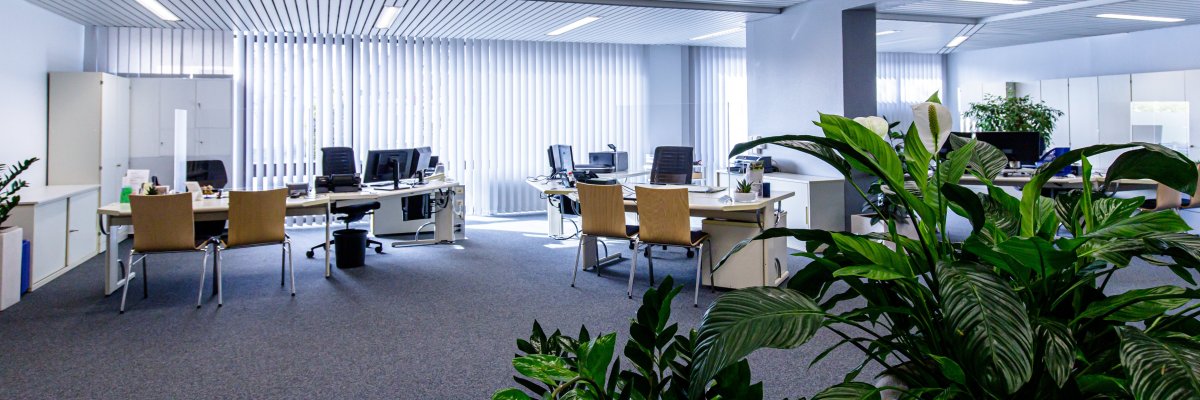Citizens' office in the town hall of the Neuenhaus joint municipality