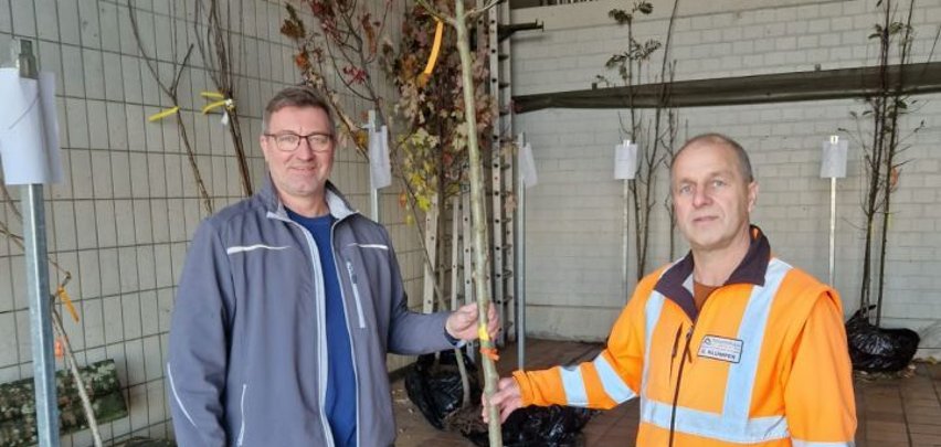 Handover of the climate trees in the building yard