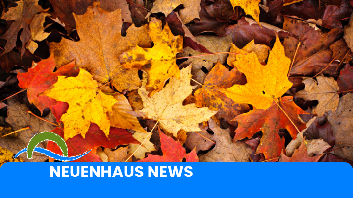 Bladinzameling Bladinzameling