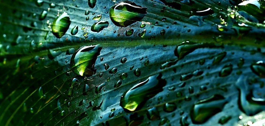 Regenwater Regenwater