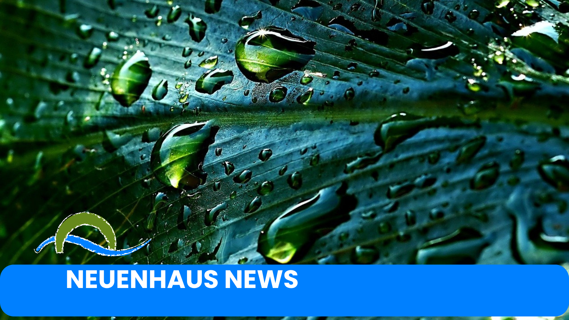 Regenwasser