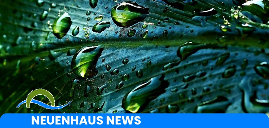 Regenwasser Regenwasser