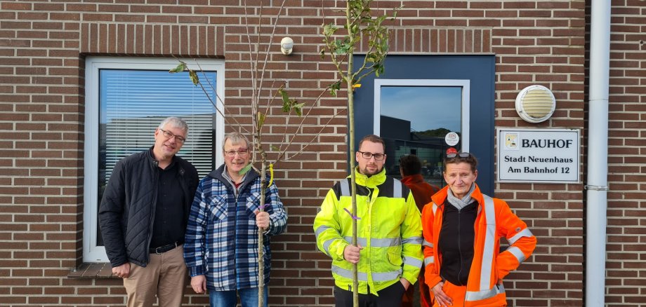 Bewerbung Klimabäume Bewerbung für Klimabäume