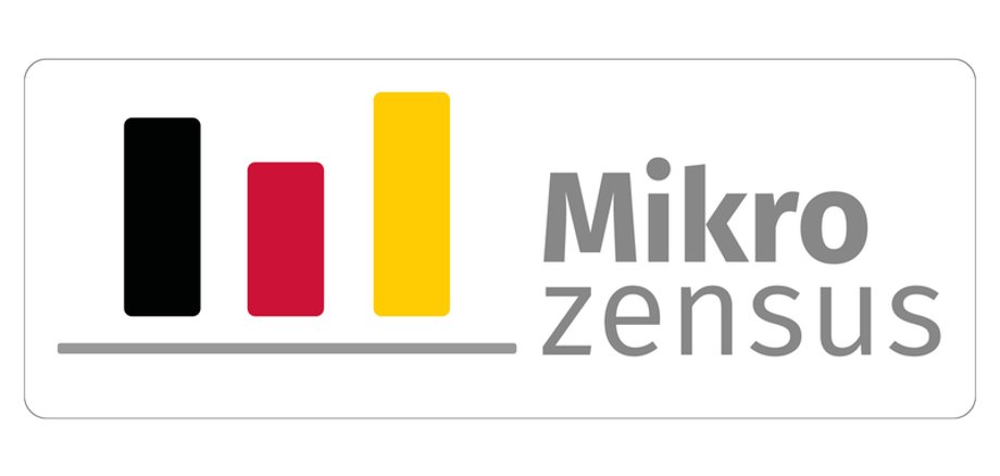 Mikrozensus 2025