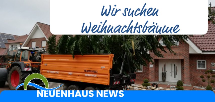 Weihnachtsbäume gesucht